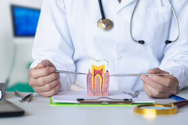 Best Orthodontic Emergency Dentist in Kelly Ridge, CA